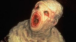 Файл:Thehost.jpg