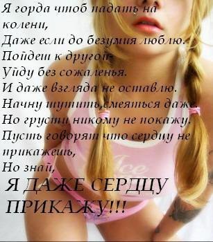 Файл:Стехи.jpeg