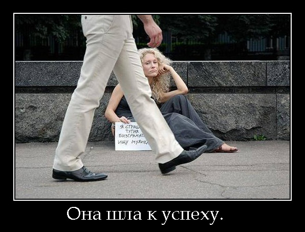 Файл:Gordonsha1.jpg