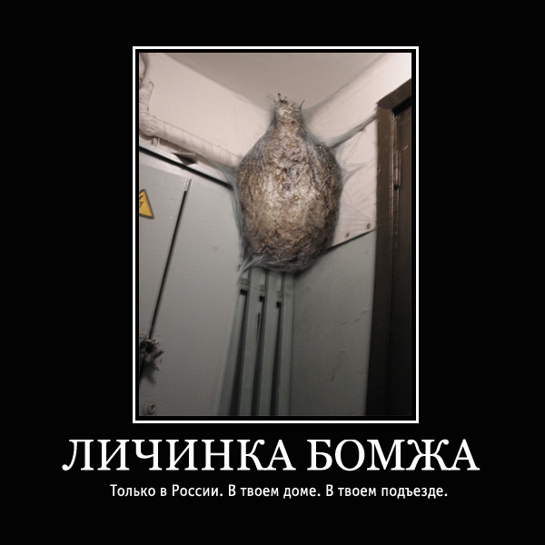 Файл:1235302904612.jpg