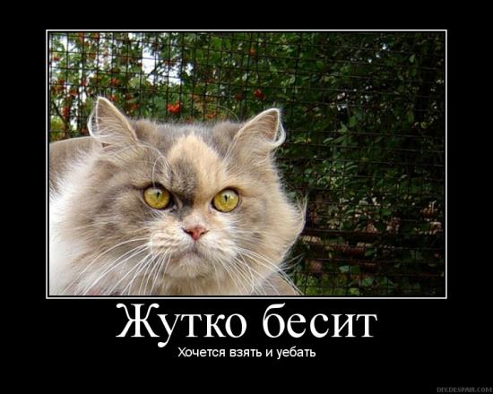 Файл:Взять и уебать.jpg