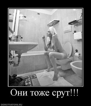 Файл:D8e509ccc0f3.jpg