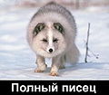 Миниатюра для версии от 04:26, 25 апреля 2008