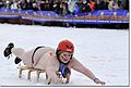 Миниатюра для версии от 12:33, 21 января 2010