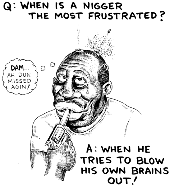 Файл:Stupid-nigger.PNG