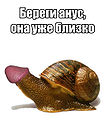 Миниатюра для версии от 21:57, 25 октября 2008