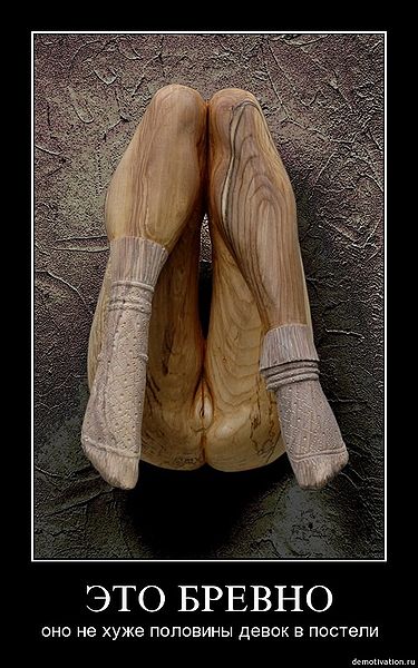 Файл:Brevno.jpg