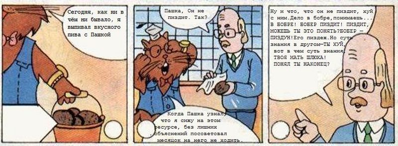 Файл:Fortranpashka.jpg