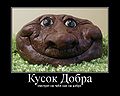 Миниатюра для версии от 11:12, 27 января 2009