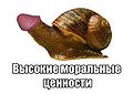 Миниатюра для версии от 21:53, 25 октября 2008